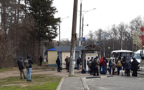 Половина жителей Чувашии воспользовалась случаем и отправилась на дачу с 1 мая