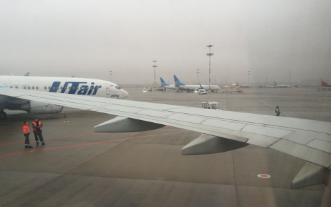 Житель Чувашии с тремя детьми вернулся из Ливана