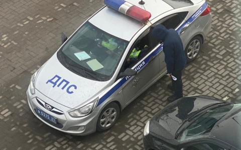 Жителя Чебоксарского района накажут за взятку в авто ГИБДД