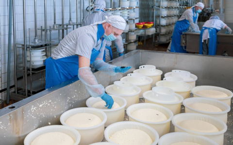 «Сернурский сырзавод» запустил доставку по Чебоксарам