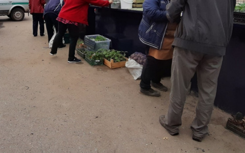 Количество безработных в Чувашии увеличилось в 4 раза