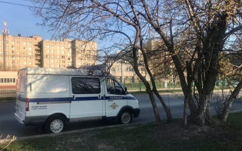 На женщину напал грабитель во время пробежки в "Ельниковской роще"