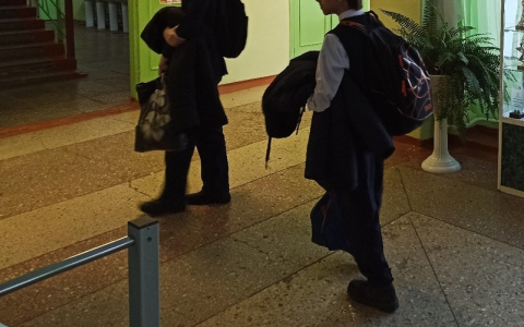 Полную отмену ОГЭ и частичную ЕГЭ подтвердили в Минпросвещения Чувашии