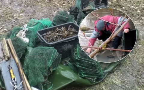 Шумерлинец занимался массовым истреблением раков