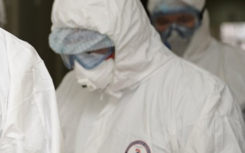 Обновленные данные по количеству выздоровевших