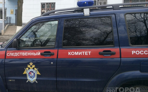 Жительница Чувашии ненавидела бывшего мужа и убила его