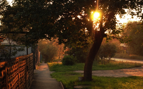 С какой погоды начнется новая неделя в Чувашии