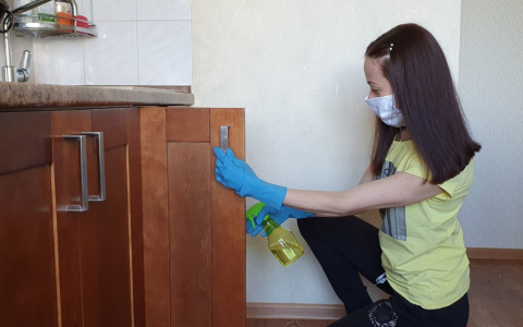 Горожанин: "Домашние муравьи обжились на кухне и уже лезут в постель"