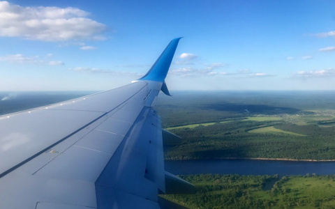 Шри-Ланка, Греция, Индия: еще 5 жителей Чувашии смогли вернуться в Россию