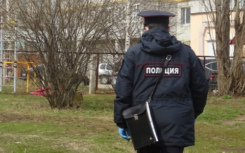 Чебоксарец перевел мошенникам 200 тысяч рублей, а затем это же сделала и его мать