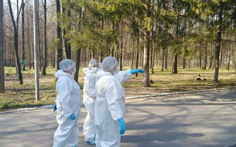 За неделю лишь один район Чувашии не пополнился новыми зараженными