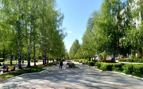 Потепление придет в Чувашию в понедельник