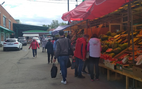 Кремль выделил регионам деньги на коронавирус, досталось и Чувашии