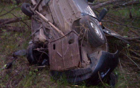 В Батыревском районе водитель "Гранты" вылетел в кювет и умер