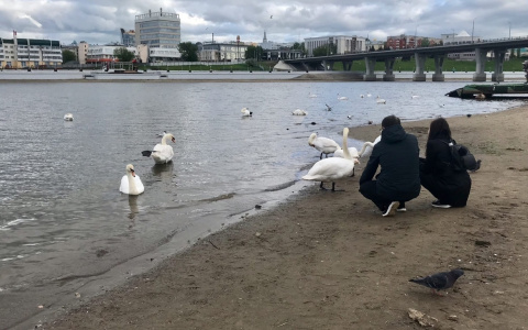 Какие законы вступают в силу уже в этом июне