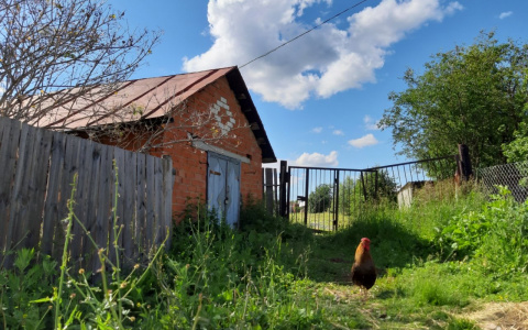 В Чувашии остро стоит проблема с отсутствием границ участков