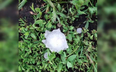 Град с перепелиное яйцо выпал в Батыревском районе