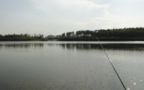 В Ибресинском районе рыбак нырнул в воду и не смог выплыть