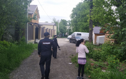 Около Лапсар и Заовражного может бегать дикий медведь