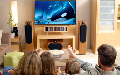 Видеосервис Wink представляет рейтинги просмотров за апрель и май