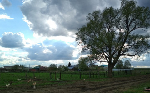 Глава поселка раздавал земли своим знакомым, теперь его ждут в суде