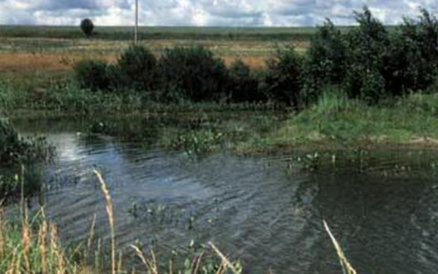 В Моргаушском районе сельчане вытащили из реки тело утопшего