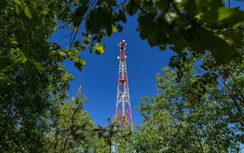 МегаФон организовал противопожарное наблюдение за лесами России