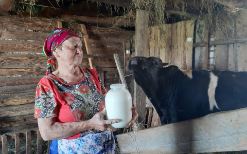 Владелица коров: "30 лет скот держу, впервые деньги дадут"