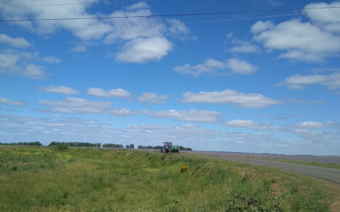 Практически невидимый глазу червь поразил картофельные поля в Чувашии