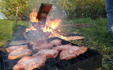 В Чувашии ловят любителей шашлыков и наказывают штрафами