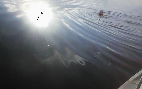 Спасатели вытащили из воды пьяного мужчину, пытавшегося переплыть Волгу