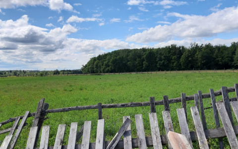 В Чувашии ожидаются заморозки на почве до -1