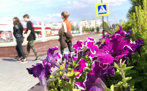 С какой погоды начнется новая рабочая неделя в Чувашии