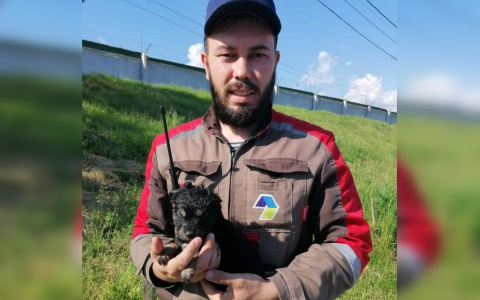 При сортировке мусора рабочие нашли двухнедельного щенка