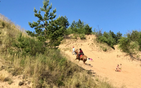 28-градусная жара и гроза: прогноз на среду в Чувашии
