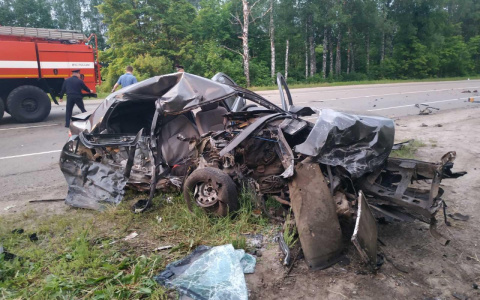 Лобовое столкновение в Канашском районе: девушка и парень искореженного авто скончались на месте