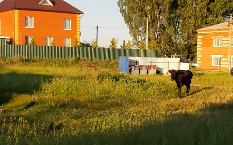 Банк «Открытие» предлагает кредит на покупку дома с участком