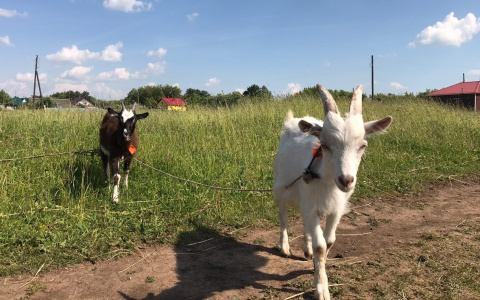 Жаркую погоду от +20 обещают синоптики на первый июльский день