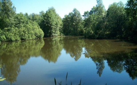 Житель чувашской деревни утонул в пруду, тело доставали сельчане