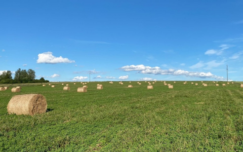 Прогноз погоды на воскресенье и очередное предупреждение от МЧС Чувашии