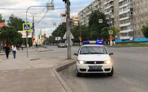 Новочебоксарка попалась на уловки мошенников при покупке породистого щенка