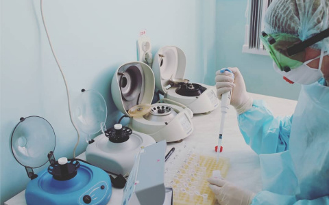 Оперативные данные по коронавирусу в Чувашии: сколько новых случаев на этот раз