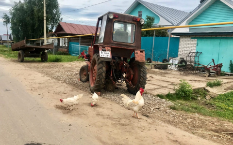 Одиннадцать жителей Чувашии могут получить до четырех миллионов рублей