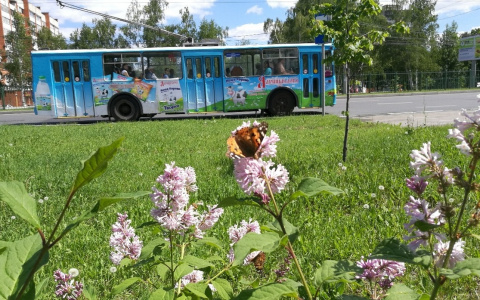 Чувашии дадут миллиард рублей на троллейбусы