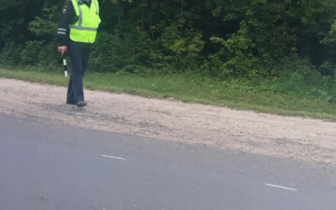 Житель Чувашии притворился сотрудником ГИБДД и получил взятку в 10 тысяч рублей