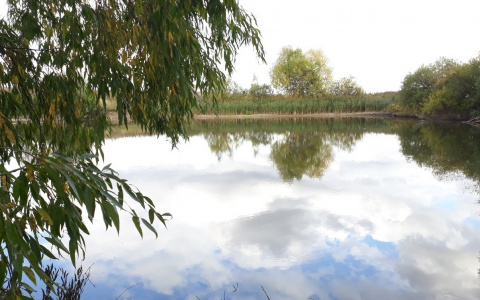 Около полудня в пруду утонула жительница Канаша