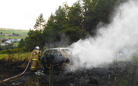 Буксование на сухой траве привело к ликвидации Toyota в янтиковском поле