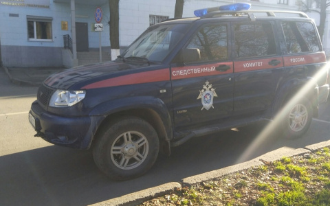 В Чебоксарах мужчина знакомился в соцсетях с девочками и вступал с ними в половую связь