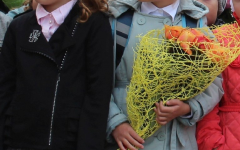 Родители первоклашек столкнулись с отказом приема в школу Чебоксар