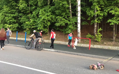 Законы августа 2020, которые вступят в силу совсем скоро